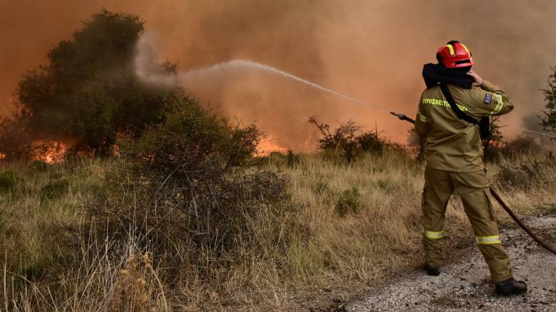 Πυρκαγιά στη Λάρυμνα Φθιώτιδας