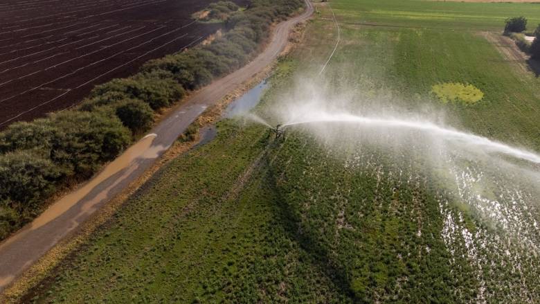 Διονύσης Σταμενίτης: «3 συν 1 παρεμβάσεις για έναν ανθεκτικότερο πρωτογενή τομέα»