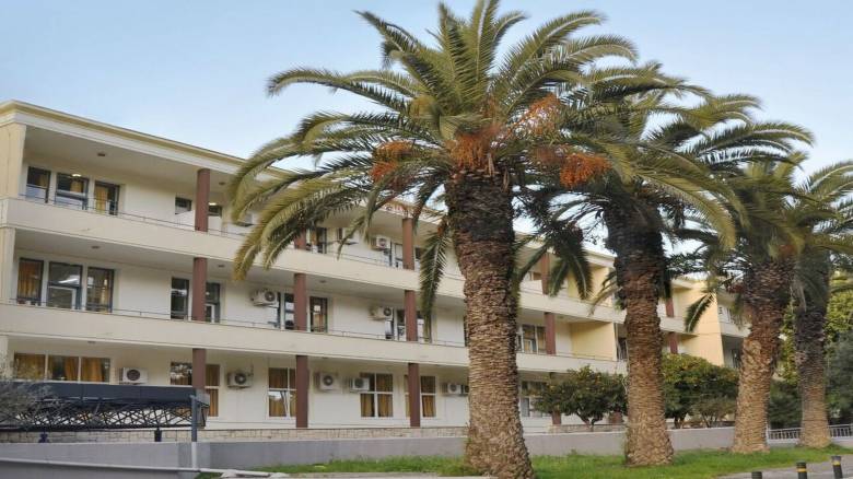 Στο νοσοκομείο με αλλεργικό σοκ επτάχρονος - Τον τσίμπησε μέλισσα