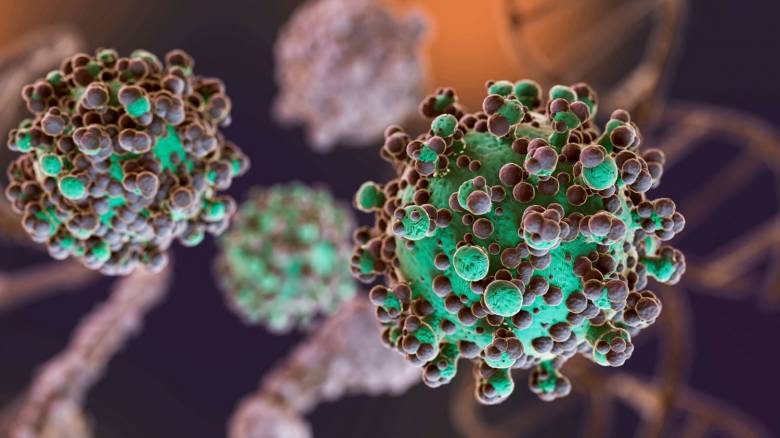 Έρευνα: 27 στοματικά μικρόβια συνδέονται με αυξημένο κίνδυνο εμφάνισης καρκίνου παγκρέατος