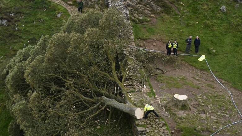 Βρετανία: Ένοχοι κρίθηκαν δύο άνδρες που έκοψαν το «ιστορικό» δέντρο Sycamore Gap