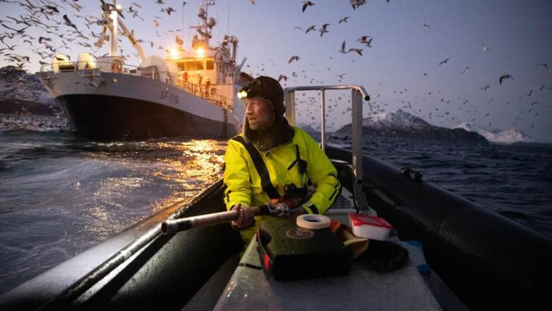 Οι καλύτερες φωτογραφίες του 2025 με επιστήμονες επί το έργον – Μία είναι τραβηγμένη στην Ελλάδα