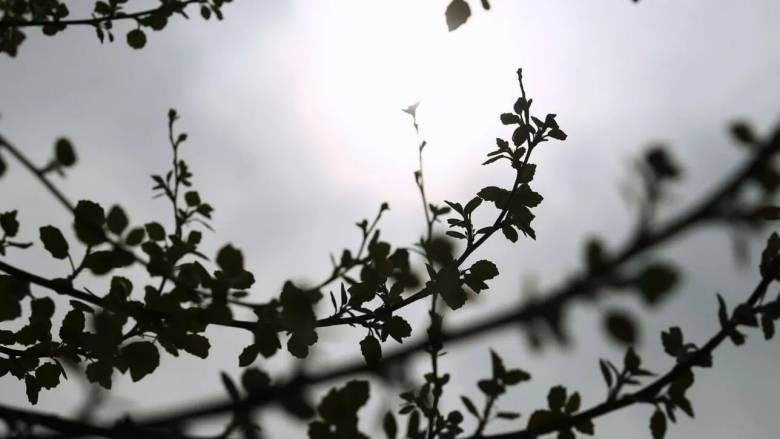 Καιρός: Συνεχίζονται οι βροχές στα βόρεια της χώρας - Αφρικανική σκόνη στα νότια