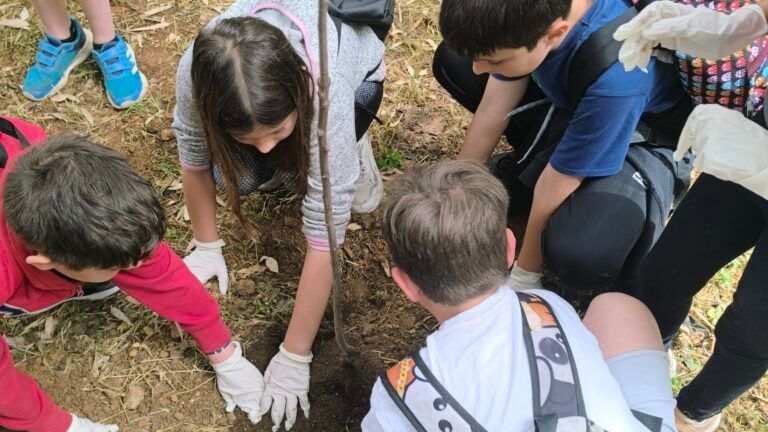 Η «πληγωμένη» από την φωτιά Ρεματιά Χαλανδρίου «πρασίνισε» - Πολύτιμη δενδροφύτευση μαθητών