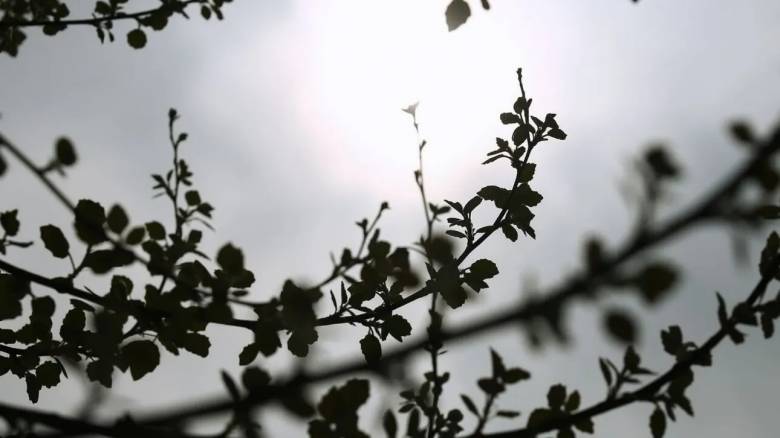 Καιρός: Με συννεφιά και τοπικές βροχές κάνει ποδαρικό η νέα εβδομάδα