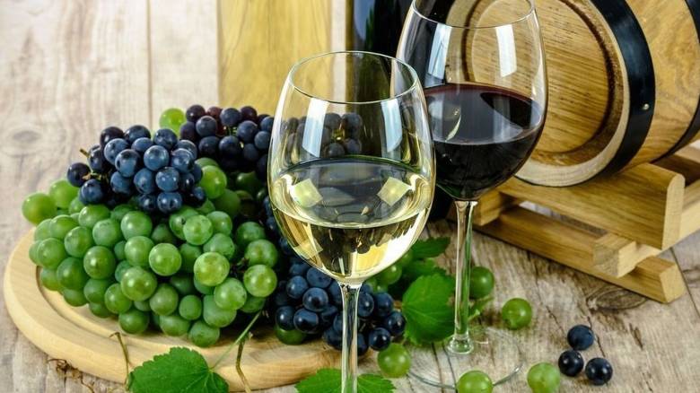 «Ανεβαίνει» ο οινοτουρισμός στην Ελλάδα - Πώς ενισχύει το τουριστικό προϊόν