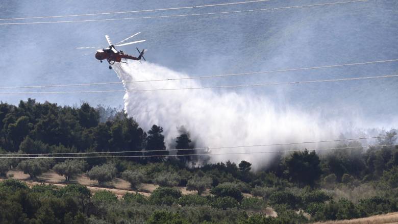Σε ύφεση η πυρκαγιά στη Ριτσώνα: Xωρίς ενεργό μέτωπο -  Μία σύλληψη και πρόστιμο
