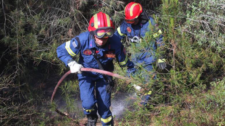 Φωτιά στη Ριτσώνα: Ενισχύθηκαν οι δυνάμεις - Στη μάχη 100 πυροσβέστες και εναέρια μέσα