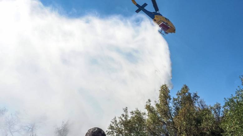 Οριοθετήθηκε η φωτιά στην Εύβοια - Σε επιφυλακή η Πυροσβεστική