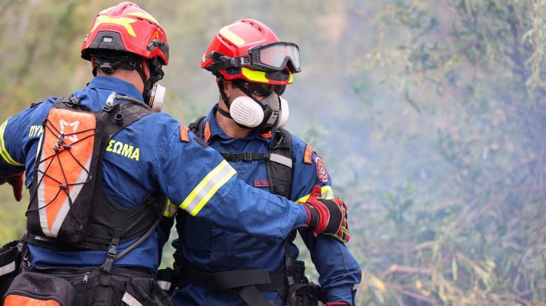 Συνελήφθη 87χρονος για την πυρκαγιά στον Αλμυροπόταμο Ευβοίας