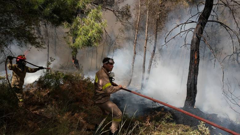 Μονεμβασιά: Φωτιά σε αγροτοδασική έκταση - Επιχειρούν επίγειες και εναέριες δυνάμεις