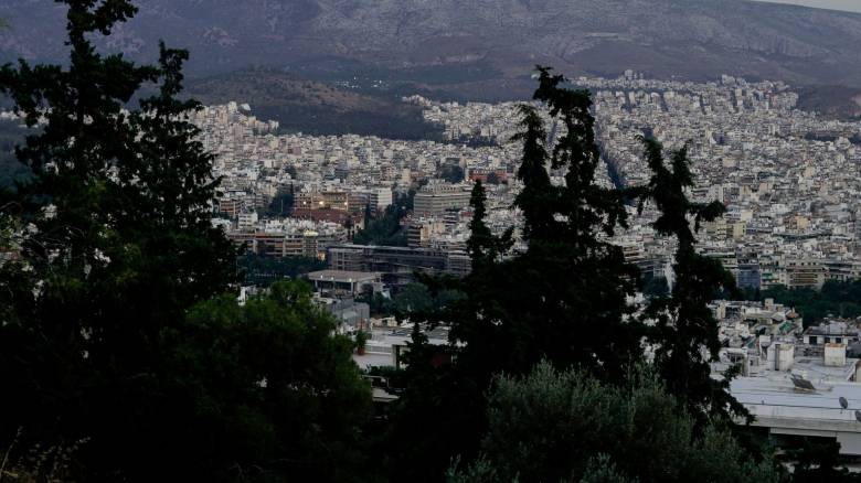 Καταγγελία Δούκα: Mπουκάλια με οινόπνευμα και αναπτήρες ανάμεσα σε δέντρα στον Λόφο Λυκαβηττού