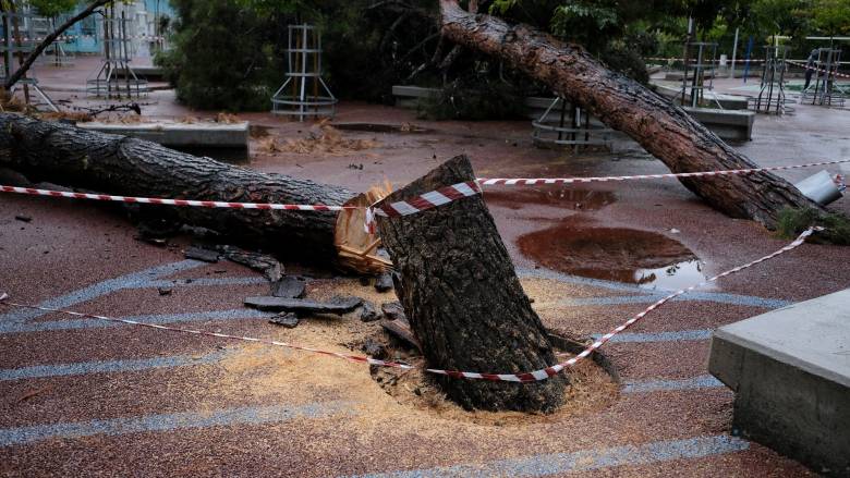 Μπλακ άουτ στη Λαμία από ισχυρό μπουρίνι: Πλημμύρισαν σπίτια, έπεσαν δέντρα