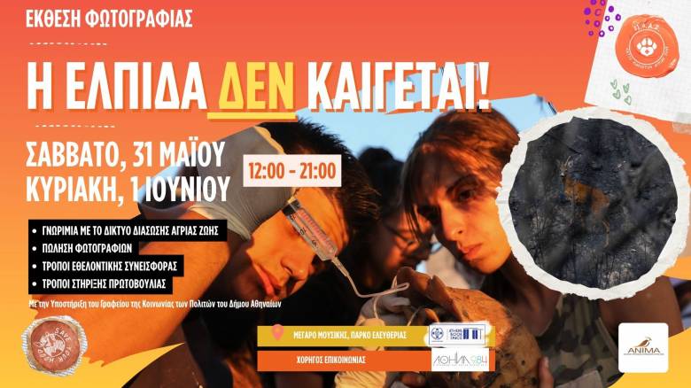 «Η Ελπίδα ΔΕΝ καίγεται»: Έκθεση Φωτογραφίας ΑΝΙΜΑ και Save Your Hood για Προστασία της Άγριας Ζωής