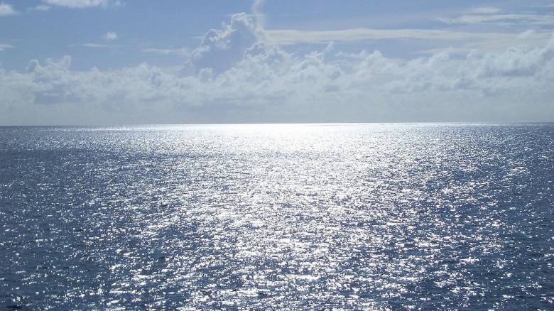 Θάλασσα Χωρίς Μέλλον; Η Κρίσιμη Στροφή της Ελλάδας στην Πρωτογενή Παραγωγή και Οικολογική Οικονομία