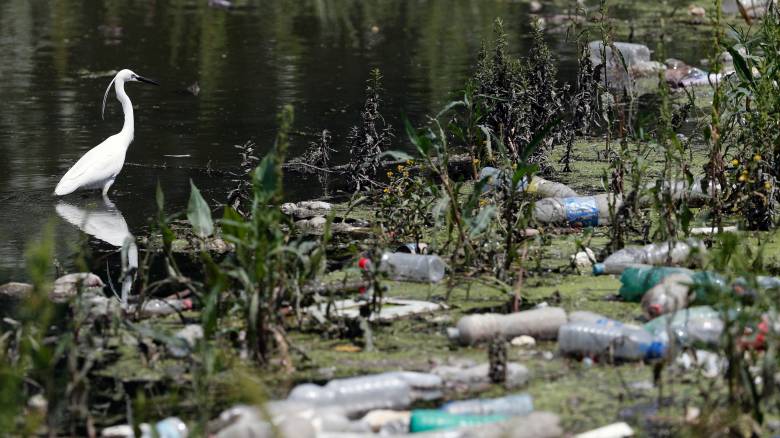 Παγκόσμια Ημέρα Περιβάλλοντος: «Πληγή» η πλαστική ρύπανση στο «σώμα» του πλανήτη