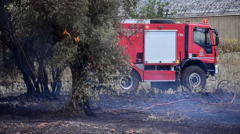 Σε ύφεση η φωτιά στο Νεοχώρι Μεσσηνίας