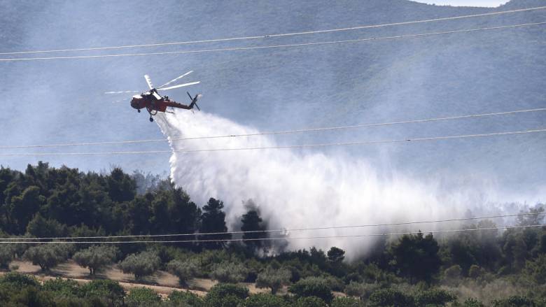 Φωτιά στη Μεσσηνία - Στη μάχη 40 πυροσβέστες και εναέρια μέσα