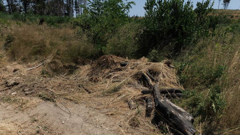 Ξεκίνησαν οι έλεγχοι σε ακαθάριστα οικόπεδα - Πάνω από 3.000 καταγγελίες πολιτών
