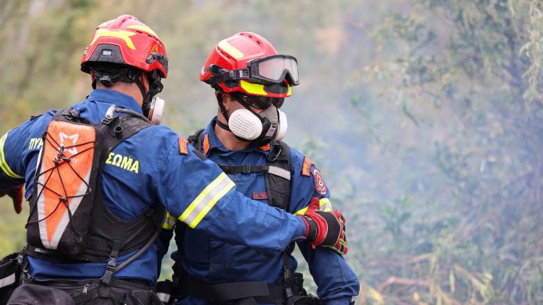 Σε εξέλιξη δύο φωτιές, σε Ύδρα και Μέγαρα - Κινητοποίηση της Πυροσβεστικής