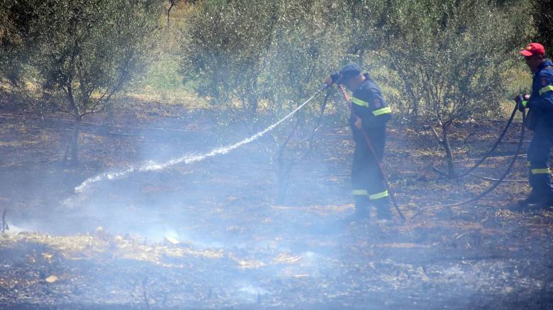 Φωτιά σε βιοτεχνία ανακύκλωσης στην Αλεξανδρούπολη - Μαύροι καπνοί «πνίγουν» την περιοχή