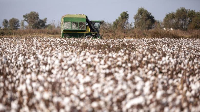 Το σχέδιο θωράκισης του πρωτογενούς τομέα - «Πληγή» η κλιματική κρίση στις καλλιέργειες