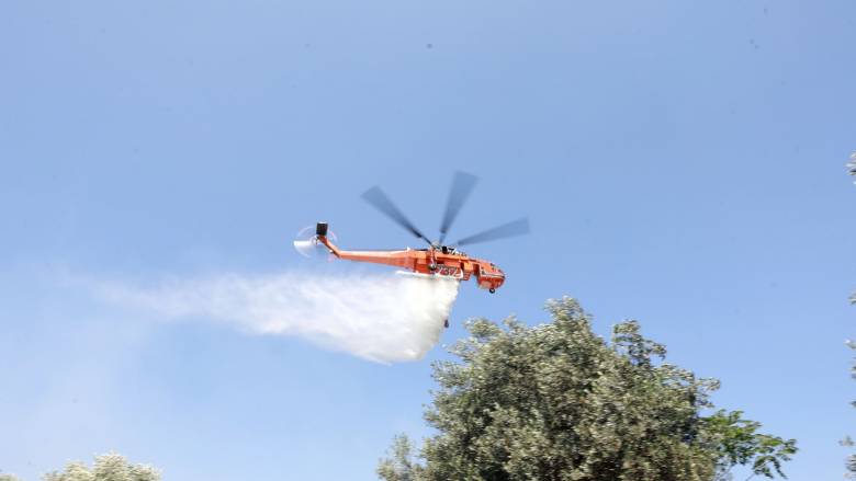 Φωτιά στην Ερέτρια: Εστάλη 112 στους κατοίκους - «Παραμείνετε σε ετοιμότητα»