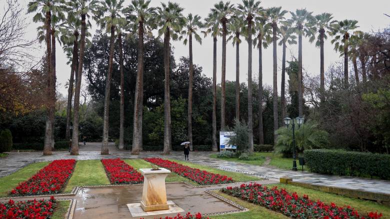Κλειστός ο Εθνικός Κήπος λόγω ισχυρών ανέμων στην Αττική