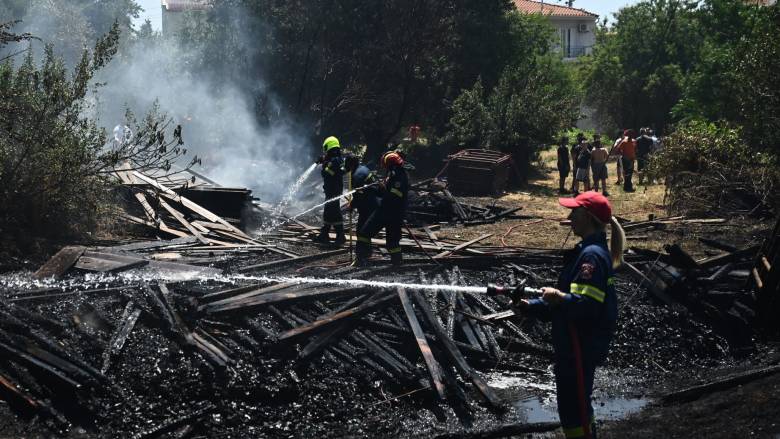 Στις 36 οι αγροτοδασικές πυρκαγιές το τελευταίο εικοσιτετράωρο - Τέσσερις συλλήψεις στην Αττική