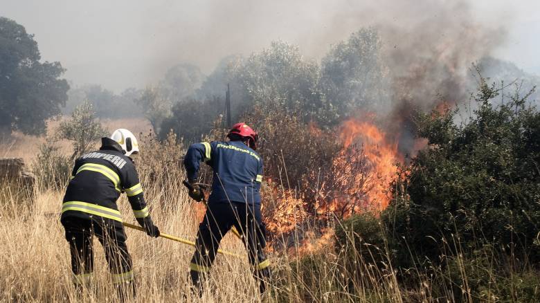 Χανιά: Πυρκαγιά κοντά σε κατοικημένη περιοχή - Ήχησε το 112