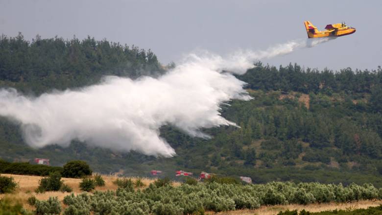 Φωτιά σε δασική έκταση στις Σέρρες - Επιχειρούν και εναέρια μέσα