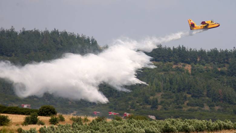 Φωτιά στο Λεοντάρι Βοιωτίας - Στη μάχη και αεροσκάφη