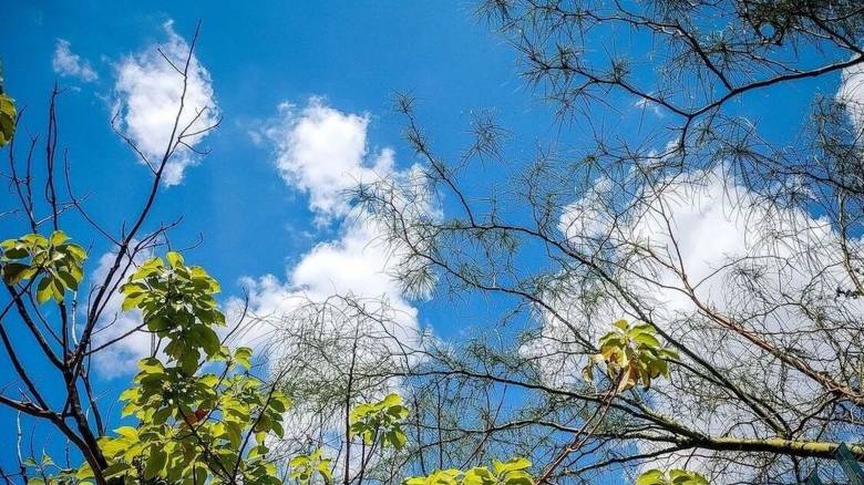 Καιρός: Αίθριος με τοπικές νεφώσεις - Μικρή πτώση της θερμοκρασίας