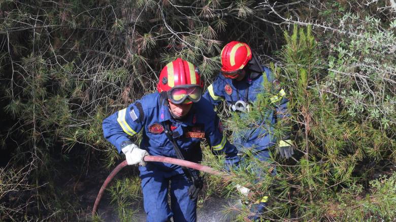 Φωτιά κοντά στο Κρυονέρι Αττικής - Επιχειρούν εναέρια και επίγεια μέσα