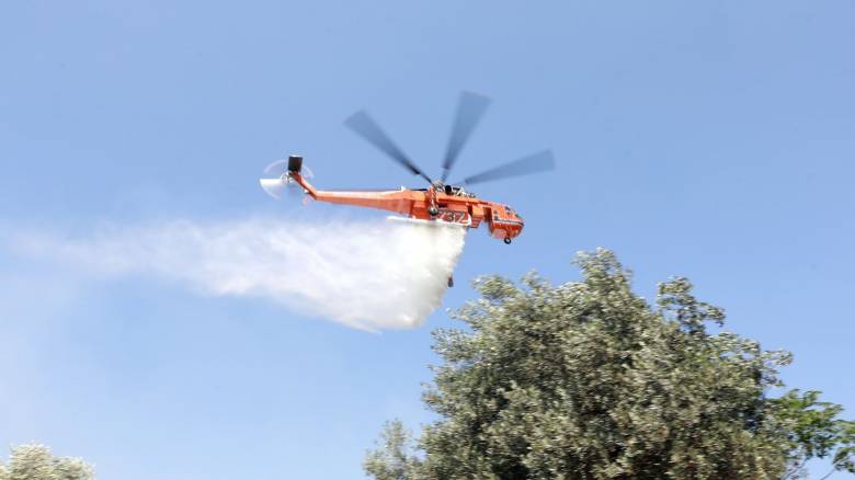 Φωτιά στο Λασίθι: Ήχησε το 112 - Επιχειρούν εναέρια και επίγεια μέσα