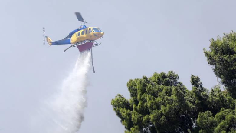 Βίντεο καταγράφει τη στιγμή που ξεκινά η φωτιά στο Άνω Σούλι Μαραθώνα από κολώνα ηλεκτροδότησης