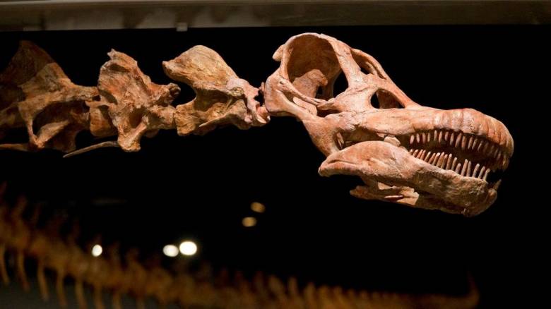 Πώς οι δεινόσαυροι θα μπορούσαν να μας βοηθήσουν να καταπολεμήσουμε τον καρκίνο