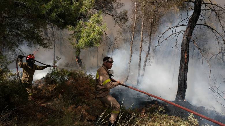 Συναγερμός για φωτιά στην Αργολίδα - Μήνυμα του 112 για απομάκρυνση από Άνω Καρνεζαίικα