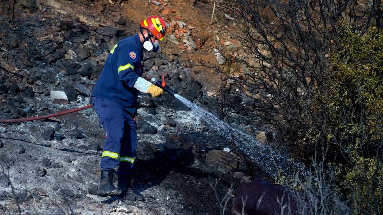 Θεσσαλονίκη: Οριοθετήθηκε η φωτιά στην περιοχή της Ευκαρπίας