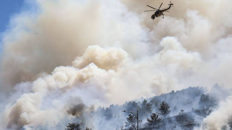 Φωτιά στη Νέα Τρίγλια Χαλκιδικής: Επιχειρούν ισχυρές επίγειες δυνάμεις και εναέρια μέσα