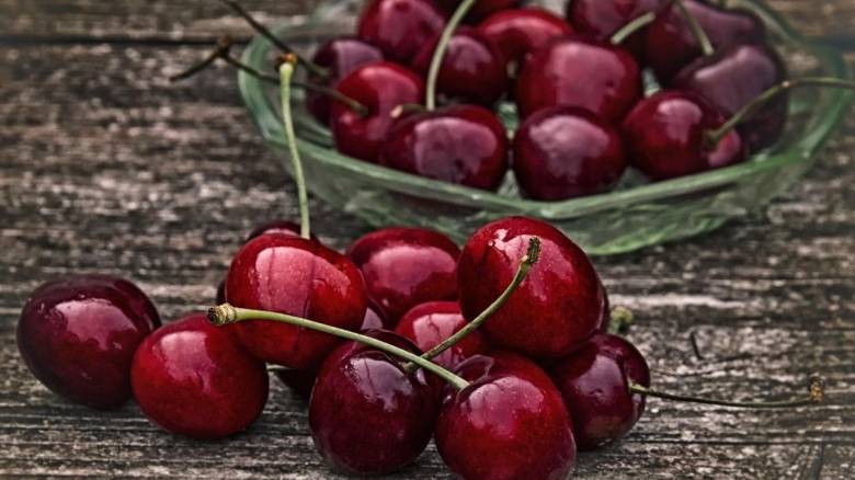 Έως και 90% μειωμένη η παραγωγή κερασιών στην Πιερία - Τα «όπλα» στη μάχη με την κλιματική κρίση