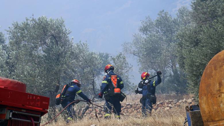 Φωτιά στην Αλυκή Βοιωτίας: «Βελτιωμένη η εικόνα, προλάβαμε τα χειρότερα», λέει ο δήμαρχος Θήβας