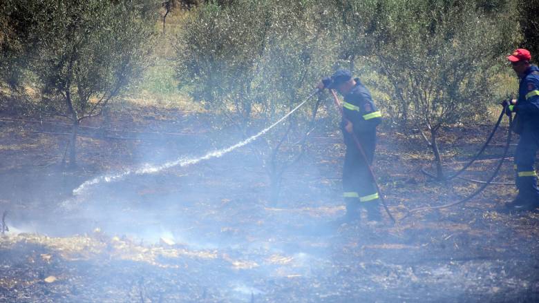 Φωτιά στη Δράμα: Περιορίστηκε σε ένα μέτωπο στην Αδριανή