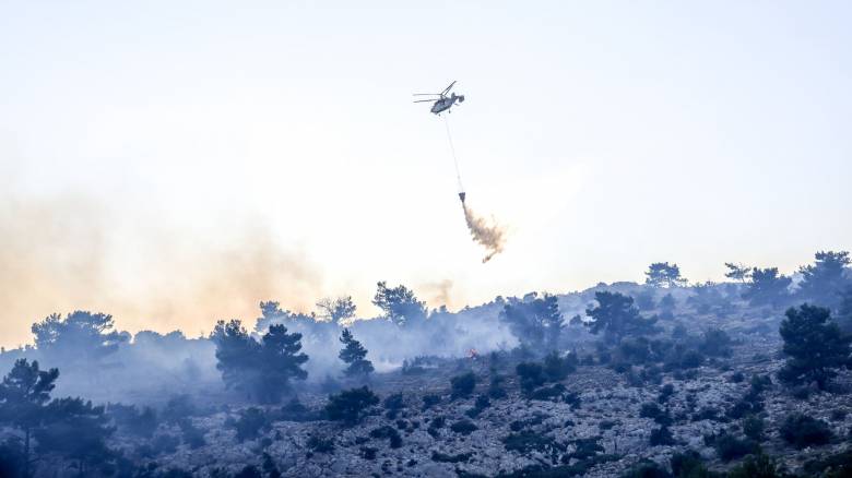 Φωτιά στo Αχλάδι Στυλίδας – Ήχησε το 112