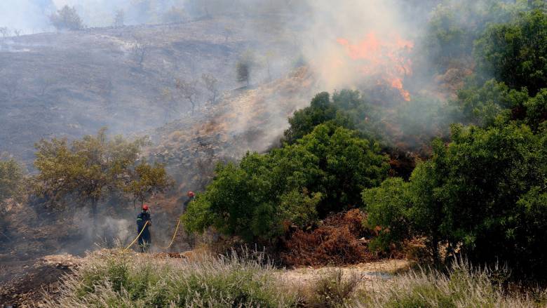Συναγερμός στην Πυροσβεστική για φωτιά στην Εύβοια