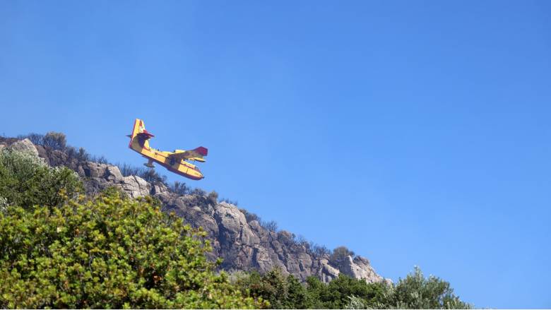 Σε εξέλιξη η πυρκαγιά στη Χίο: Συνεχείς αναζοπυρώσεις - Επιχειρούν ισχυρές δυνάμεις