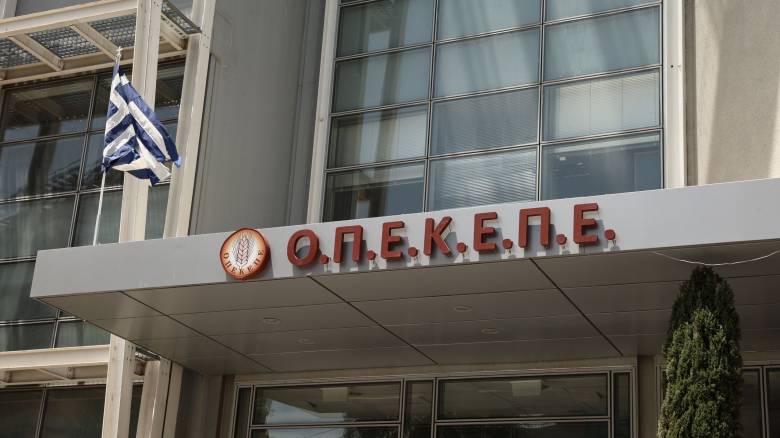 Ερωτήματα ΣΥΡΙΖΑ προς Μητσοτάκη για επιδότηση «μαμούθ» από τον ΟΠΕΚΕΠΕ σε πολιτεύτρια της ΝΔ