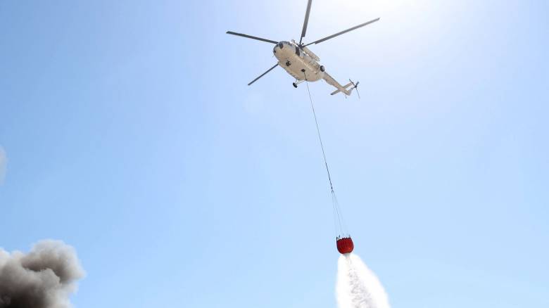 Χωρίς ενεργό μέτωπο η φωτιά στο δήμο Τεμπών Λάρισας