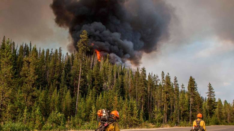 ΗΠΑ: Δύο νεκροί πυροσβέστες σε ενέδρα στο Άινταχο - Σκοτώθηκε ο δράστης