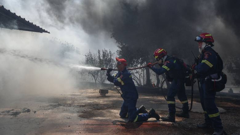 Φωτιά σε δασική έκταση της Ελευσίνας - Σηκώθηκαν εναέρια μέσα